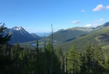 Photo of — Природа — лучший способ расслабиться