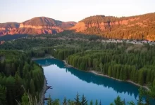 Photo of — Парк природы: идеальное место отдыха